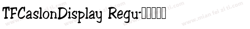 TFCaslonDisplay Regu字体转换